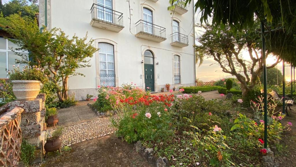 Altissima Guesthouse פנקובה מראה חיצוני תמונה